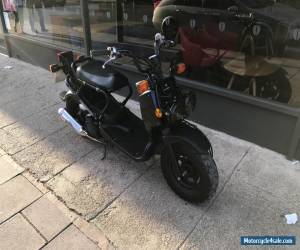 2010 HONDA ZOOMER 50 RUCKUS **damaged salvage, stollen recovered** MONKEY BIKE for Sale