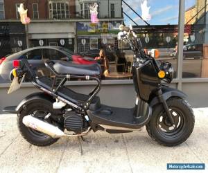 Motorcycle 2010 HONDA ZOOMER 50 RUCKUS **damaged salvage, stollen recovered** MONKEY BIKE for Sale