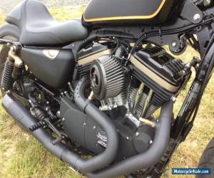 Motorcycle 2013 Harley-Davidson Sportster for Sale