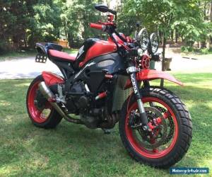 2010 Honda CBR for Sale