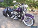 2000 Harley-Davidson Softail for Sale