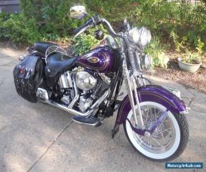 Motorcycle 2000 Harley-Davidson Softail for Sale