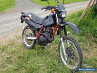 1984 Honda Other