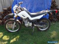 2008 Yamaha XT