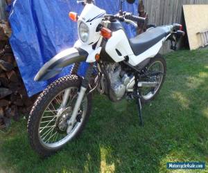 Motorcycle 2008 Yamaha XT for Sale