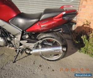 Motorcycle HONDA CBF1000 2008 SPORTS TOURER GREAT CLEAN BIKE RUNS RIDES WELL CHEAP CB1000 for Sale