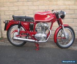 Motorcycle 1962 Ducati for Sale