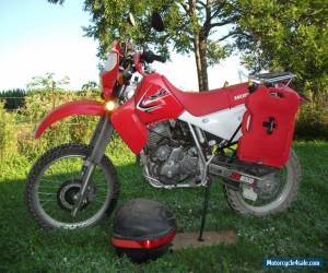 Motorcycle 2015 Honda XR650L for Sale