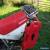 2015 Honda XR650L for Sale