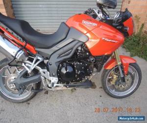 Motorcycle TRIUMPH 1050 TIGER 2008 MODEL RUNS RIDES WELL ADVENTURE TOURER  for Sale