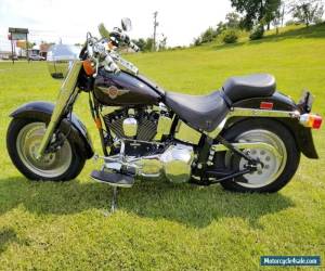 Motorcycle 1999 Harley-Davidson Softail for Sale