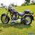 1999 Harley-Davidson Softail for Sale