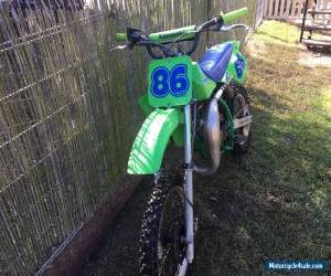 Motorcycle Kawasaki KX 80-G for Sale