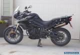 Triumph: Tiger for Sale