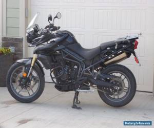 Motorcycle Triumph: Tiger for Sale