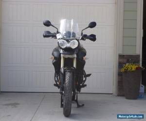 Motorcycle Triumph: Tiger for Sale