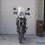 Triumph: Tiger for Sale