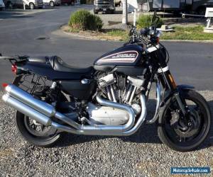 Motorcycle 2009 Harley-Davidson Sportster for Sale