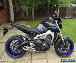 Motorcycle yamaha mt09 for Sale