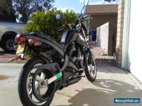 2003 Buell Blast