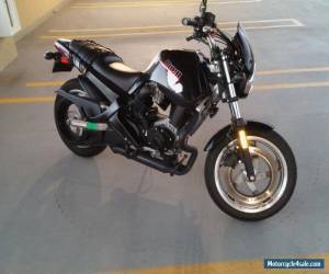 Motorcycle 2003 Buell Blast for Sale