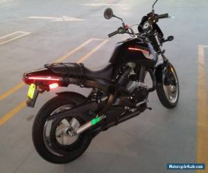 Motorcycle 2003 Buell Blast for Sale