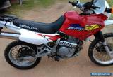 honda dominator 650 for Sale