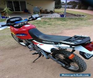 Motorcycle honda dominator 650 for Sale