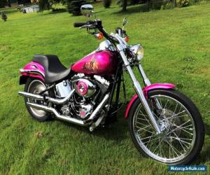 Motorcycle 2000 Harley-Davidson Softail for Sale