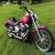 2000 Harley-Davidson Softail for Sale