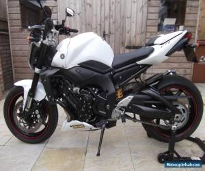 Motorcycle YAMAHA FZ1 N FAZER 1000 for Sale