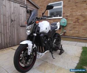 Motorcycle YAMAHA FZ1 N FAZER 1000 for Sale