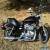 2011 Harley-Davidson Sportster for Sale