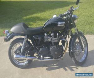 2008 Triumph Bonneville T100 for Sale