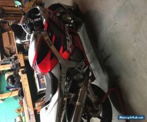 Motorcycle 2004 Honda RC51 for Sale