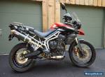 2011 Triumph Tiger for Sale