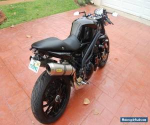 Motorcycle 2009 Triumph Speed Triple for Sale