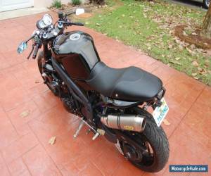 Motorcycle 2009 Triumph Speed Triple for Sale