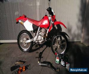 Motorcycle HONDA XR250 2003 Negotiable! 12 months Rec Rego Low KMs 250 400 600 500 650 vmx  for Sale