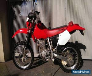 Motorcycle HONDA XR250 2003 Negotiable! 12 months Rec Rego Low KMs 250 400 600 500 650 vmx  for Sale