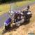 1989 Harley-Davidson Softail for Sale