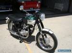 1965 Triumph Tiger for Sale