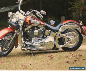 Motorcycle 2003 Harley-Davidson FLSTCI for Sale