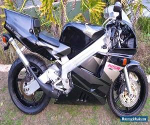 Motorcycle 1990 Honda NSR250R for Sale