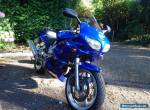 Suzuki SV 650S for Sale