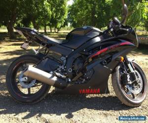 Motorcycle 2015 Yamaha YZF-R for Sale