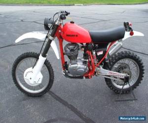 1966 Ducati scrambler for Sale