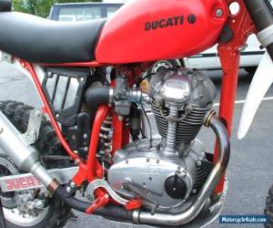 Motorcycle 1966 Ducati scrambler for Sale