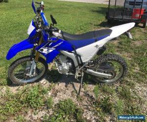 Motorcycle 2013 Yamaha WR for Sale