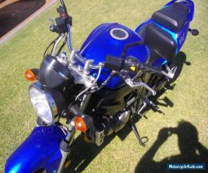 Motorcycle Suzuki SV1000 2007 for Sale